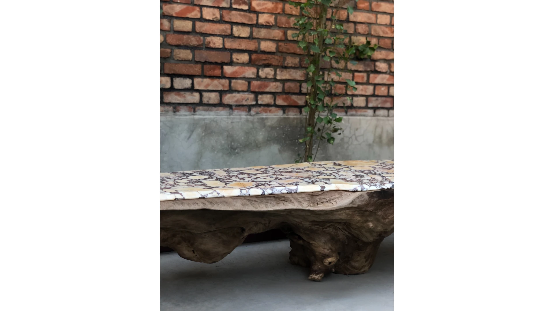 Banco Radice Viva Bench - C