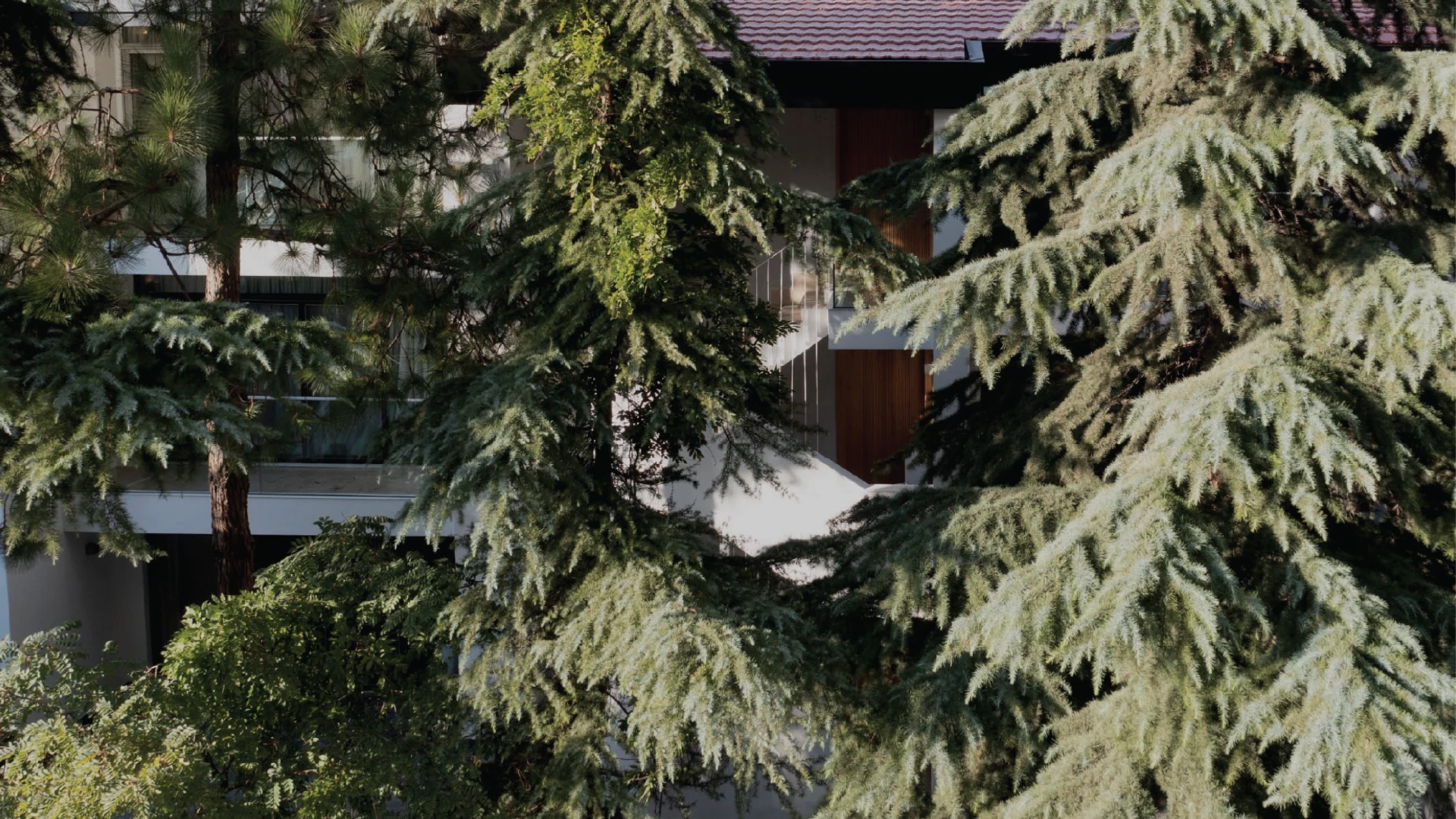 PTS-1719 East 15th Street - Alt C