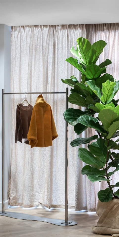 Top Slider, Maison Ivy