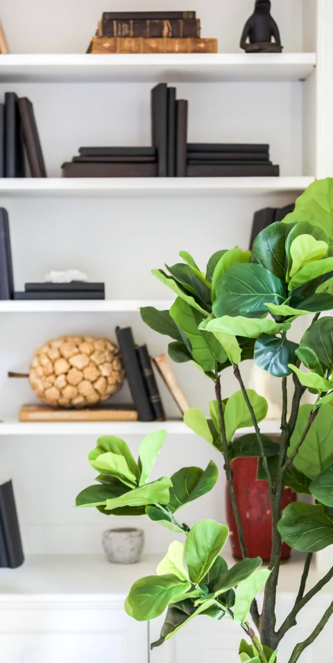 Top Slider, Park Ave 2