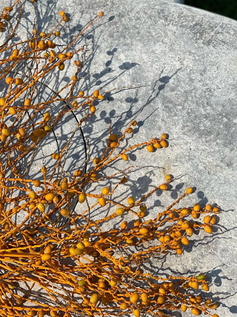 ob-t-Humpback Whales Table - C