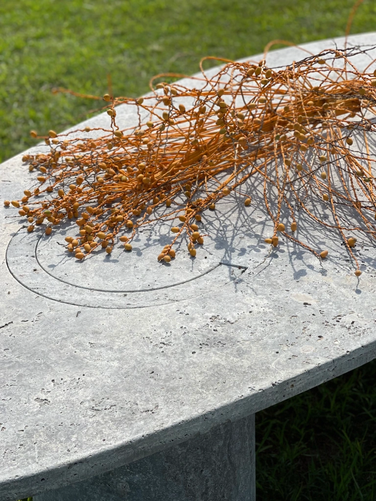 ob-t-Humpback_Whales_Table_-_B