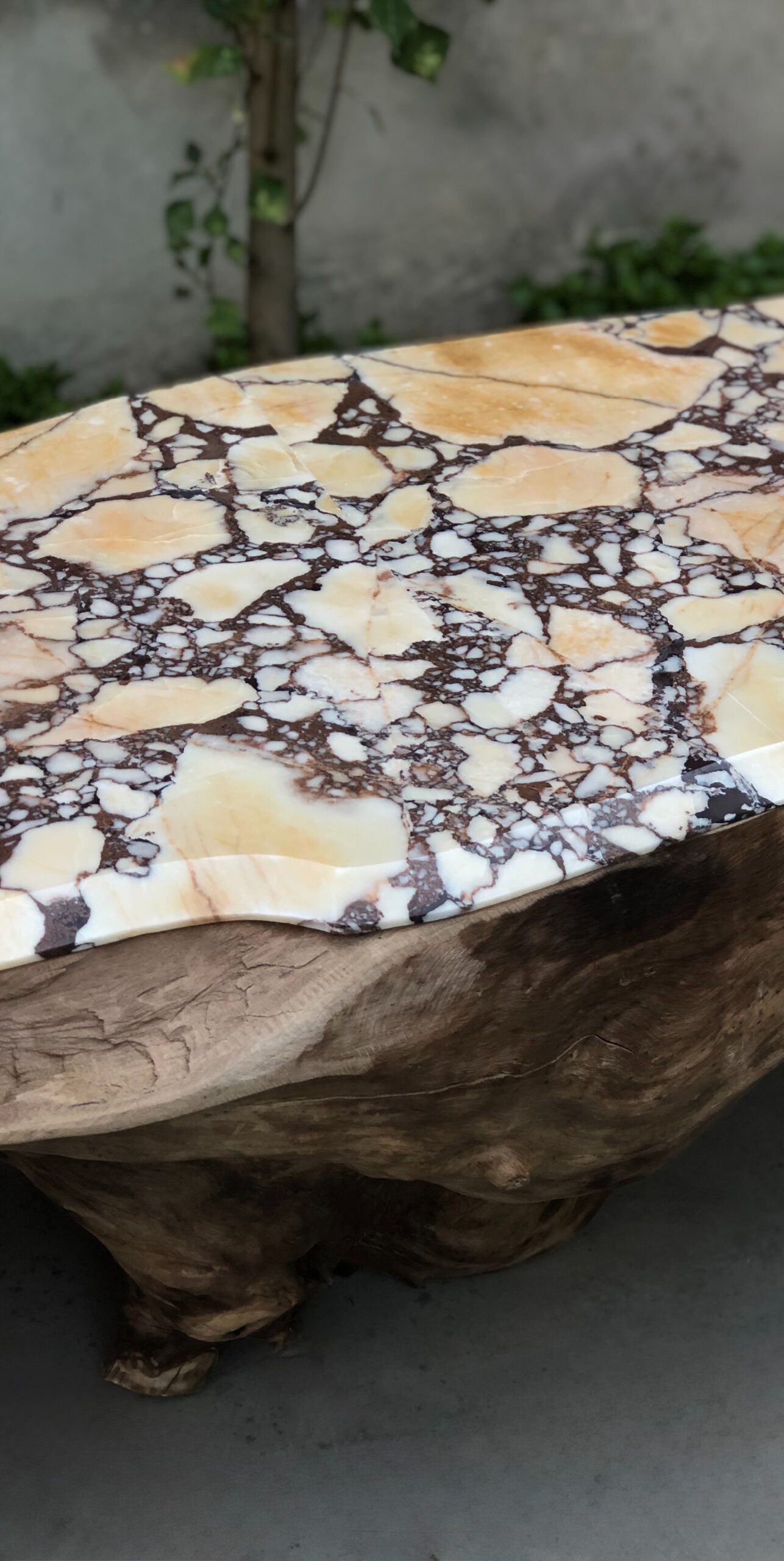 Banco Radice Viva - M