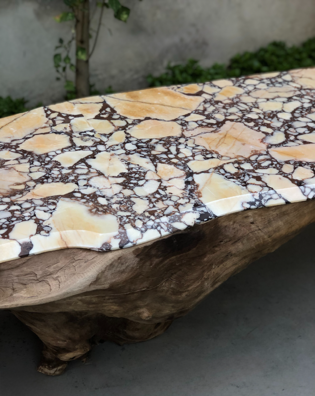 L_atelier Arman Safavi — Banco Radice Viva - Ipad