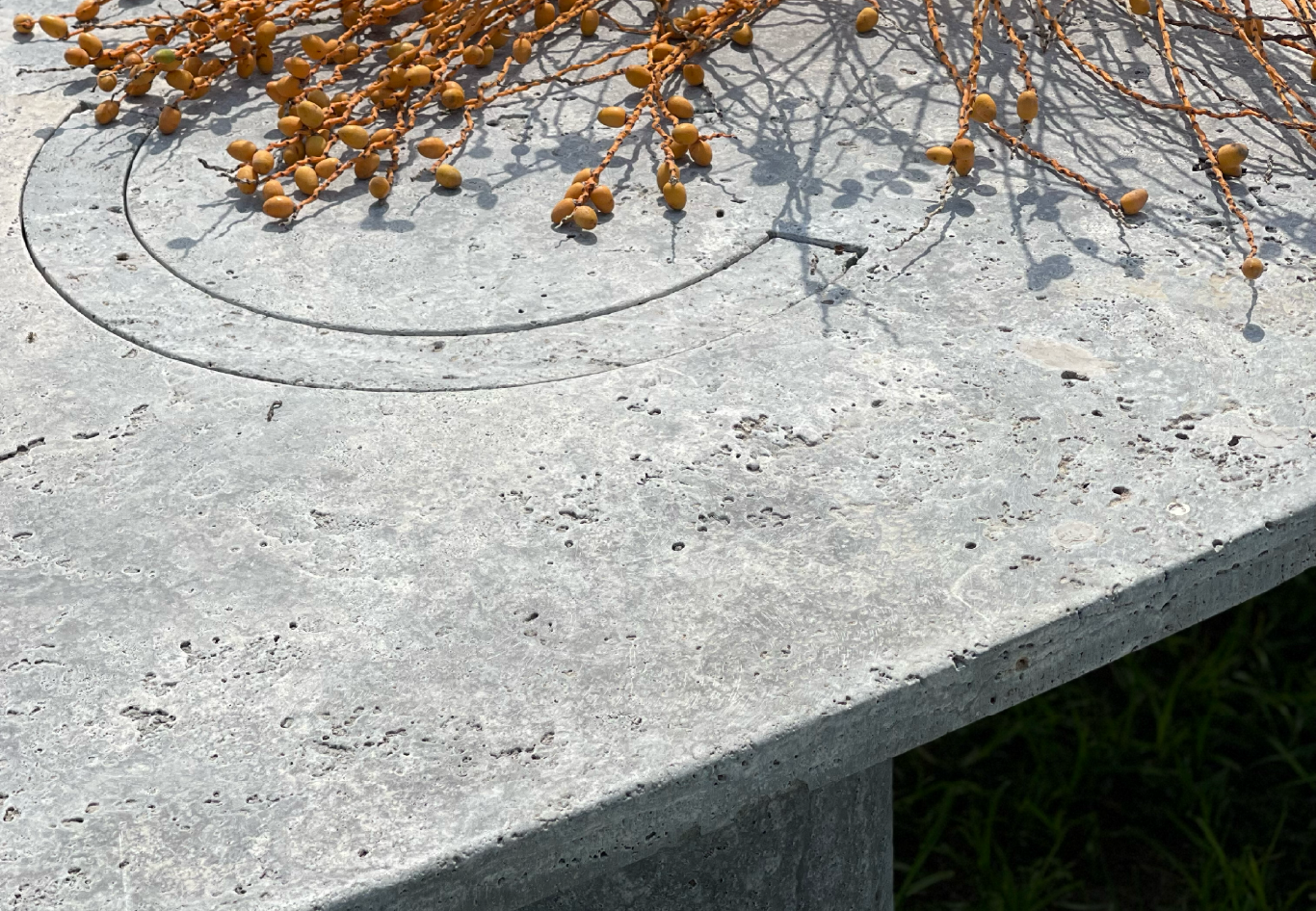 L_atelier Arman Safavi — Humpback Whales - Ipad